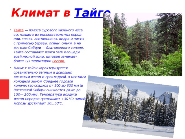 Какой климат в тайге название. Климат тайги в России. Тайга природная зона климат. Климатические условия тайги. Климат тайги летом.