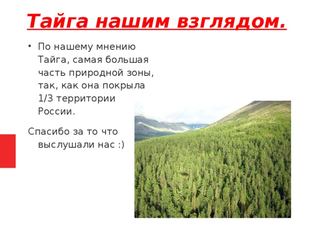 Закон тайги пятый канал. Тайга презентация. Презентация по теме Тайга 5 класс. Презентация на английском Тайга. Доклад на тему природная зона Тайга.