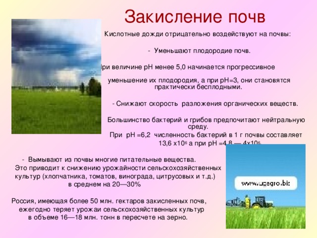 Закисление  почв  Кислотные дожди отрицательно воздействуют на почвы:  - Уменьшают плодородие почв.  При величине рН менее 5,0 начинается прогрессивное уменьшение их плодородия, а при рН=3, они становятся практически бесплодными.  - Снижают скорость разложения органических веществ.  Большинство бактерий и грибов предпочитают нейтральную среду.  При рН =6,2 численность бактерий в 1 г почвы составляет  13,6 х10 6 а при рН =4,8 — 4х10 6.   - Вымывают из почвы многие питательные вещества.  Это приводит к снижению урожайности сельскохозяйственных  культур (хлопчатника, томатов, винограда, цитрусовых и т.д.)  в среднем на 20—30%  Россия, имеющая более 50 млн. гектаров закисленных почв,  ежегодно теряет урожаи сельскохозяйственных культур  в объеме 16—18 млн. тонн в пересчете на зерно. 