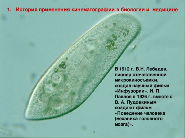 1. История применения кинематографии в биологии и медицине В 1912 г. В.Н. Лебедев, пионер отечественной микрокиносъемки, создал научный фильм «Инфузории». И. П. Павлов в 1926 г. вместе с В. А. Пудовкиным создают фильм «Поведение человека (механика головного мозга)». 