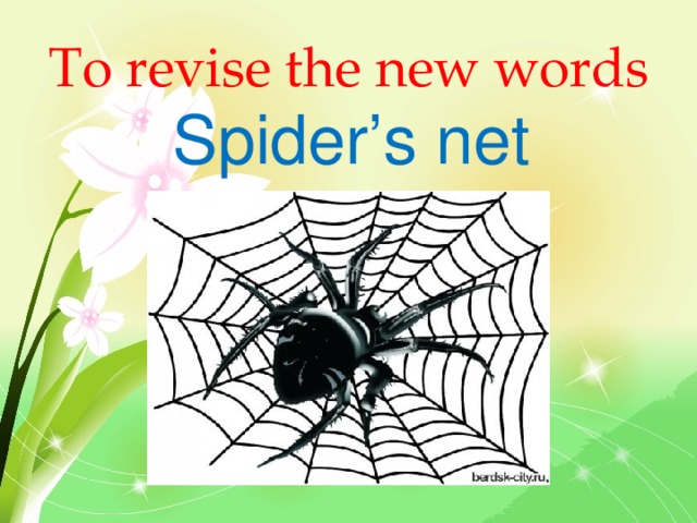 To revise the new words Spider’s net 