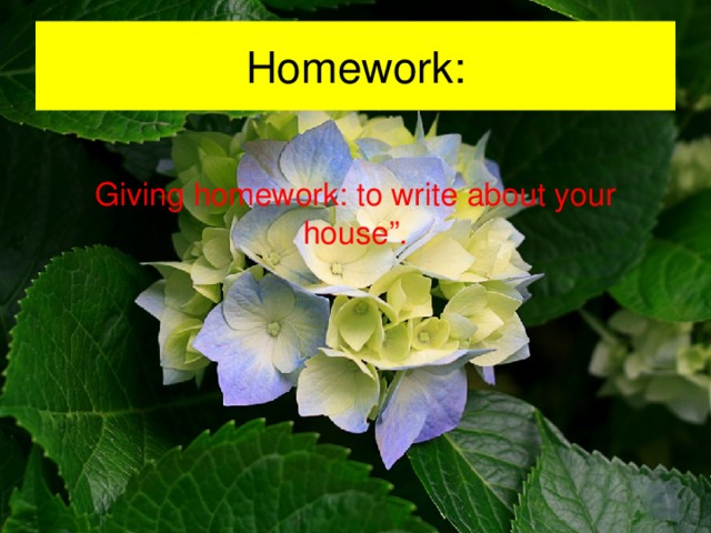 Homework: Giving homework: to write about your house”. 