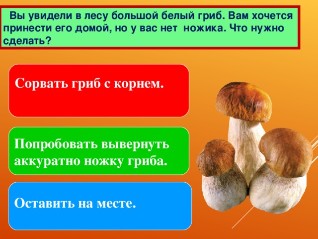 Вы увидели в лесу большой белый гриб. Вам хочется принести его домой, но у вас нет ножика. Что нужно сделать? Сорвать гриб с корнем. Попробовать вывернуть аккуратно ножку гриба. Оставить на месте.