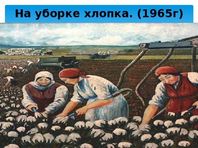 Уборка хлопка картина