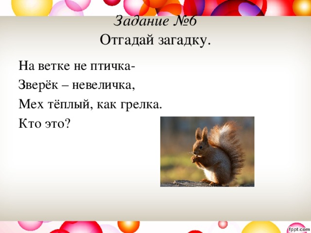 Задание №6  Отгадай загадку. На ветке не птичка- Зверёк – невеличка, Мех тёплый, как грелка. Кто это? 
