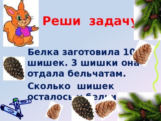 Задача белка. Белка и шишки задание. Количество шишек. Сколько белка заготавливает шишек. Задания Белочка собирала шишки ели и сосны.