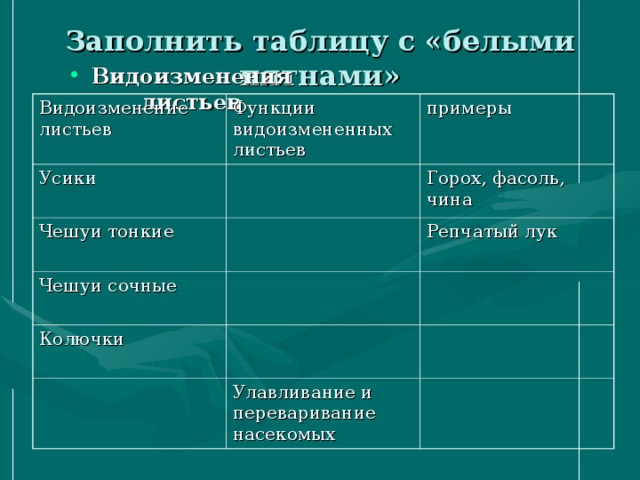 Функции листьев биология 6