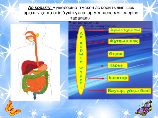 Ас қорыту жүйесінің жас ерекшеліктері презентация