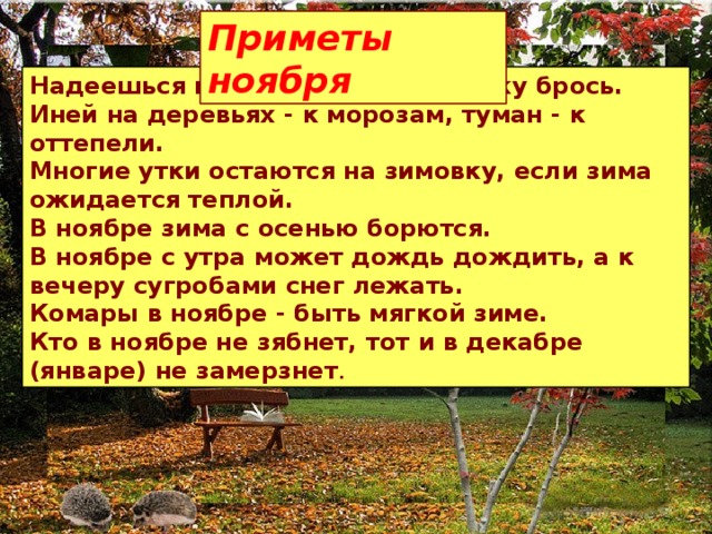 Приметы ноября Надеешься на авось, так и рыбалку брось. Иней на деревьях - к морозам, туман - к оттепели. Многие утки остаются на зимовку, если зима ожидается теплой. В ноябре зима с осенью борются. В ноябре с утра может дождь дождить, а к вечеру сугробами снег лежать. Комары в ноябре - быть мягкой зиме. Кто в ноябре не зябнет, тот и в декабре (январе) не замерзнет . 