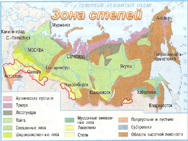 Зеленым цветом закрасьте природную зону имеющую самые плодородные почвы планеты контурная карта