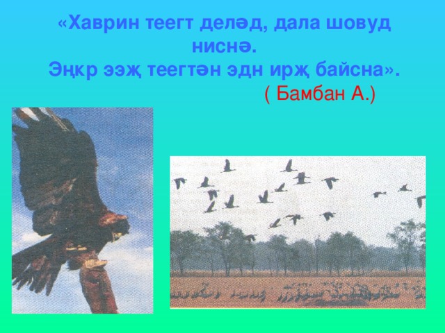 «Хаврин теегт делəд, дала шовуд ниснə.  Эңкр ээҗ теегтəн эдн ирҗ байсна».   ( Бамбан А.) 