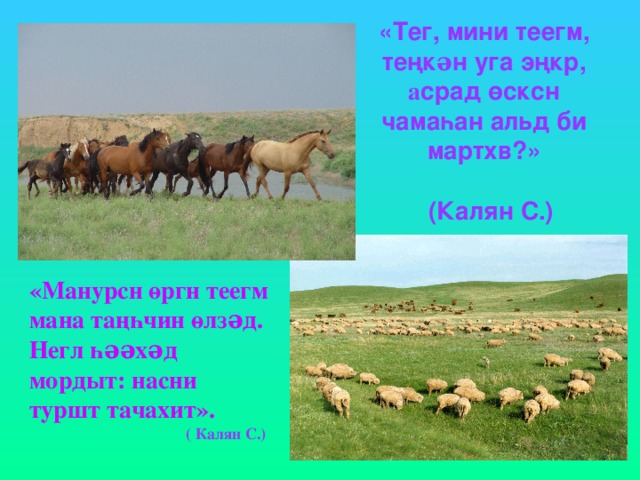 «Тег, мини теегм, теңкəн уга эңкр,  а срад өсксн чамаһан альд би мартхв?»   (Калян С.) «Манурсн өргн теегм мана таңһчин өлзəд.  Негл һəəхəд мордыт: насни туршт тачахит».   ( Калян С.) 