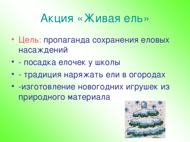 Акция «Живая ель» Цель:  пропаганда сохранения еловых насаждений - посадка елочек у школы - традиция наряжать ели в огородах -изготовление новогодних игрушек из природного материала 