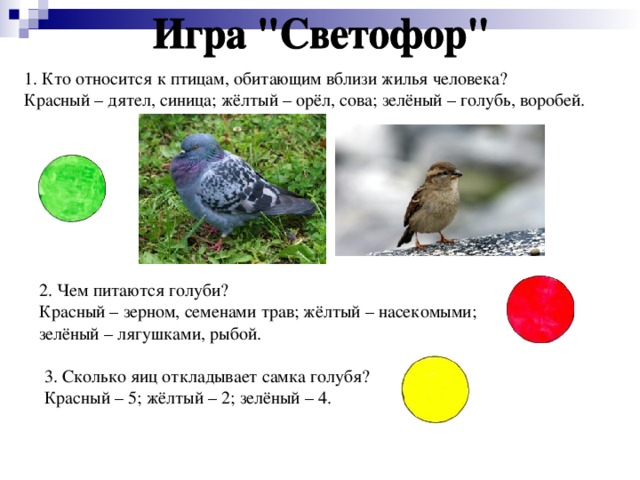 1. Кто относится к птицам, обитающим вблизи жилья человека? Красный – дятел, синица; жёлтый – орёл, сова; зелёный – голубь, воробей. 2. Чем питаются голуби? Красный – зерном, семенами трав; жёлтый – насекомыми; зелёный – лягушками, рыбой. 3. Сколько яиц откладывает самка голубя? Красный – 5; жёлтый – 2; зелёный – 4.