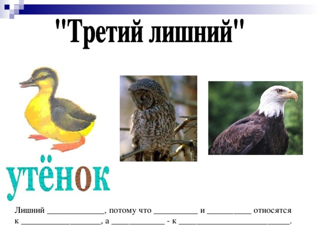 Лишний _____________, потому что __________ и __________ относятся к __________________, а ____________ - к _________________________.