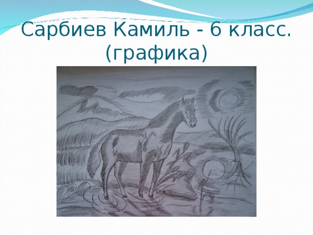 Как нарисовать камиля