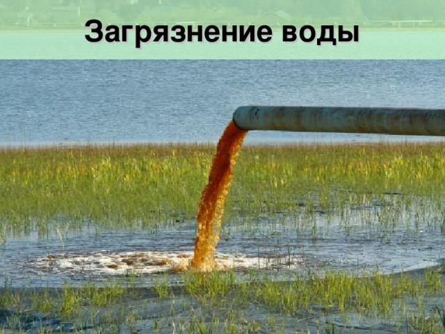 Загрязнение воды 