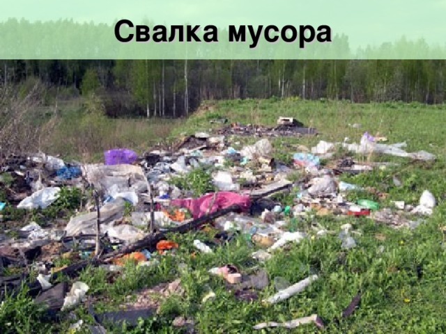 Свалка мусора 