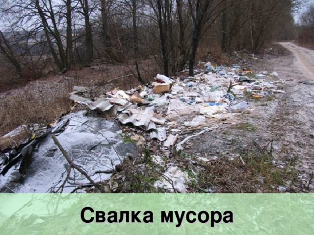 Свалка мусора 