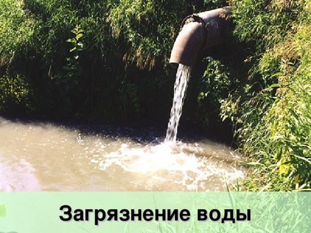 Загрязнение воды 