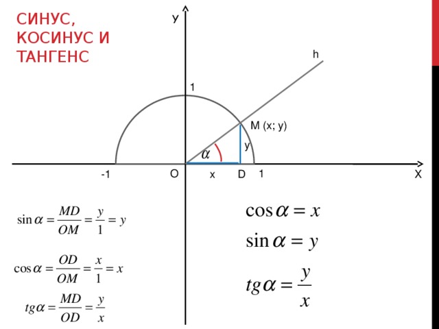 Синус, Косинус и тангенс У h 1 M (x; y) y О 1 -1 D x Х 
