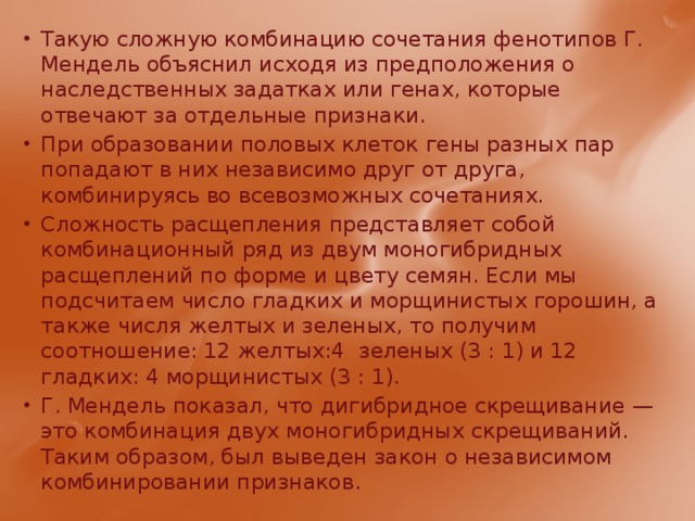 Такую сложную комбинацию сочетания фенотипов Г. Мендель объяснил исходя из предположения о наследственных задатках или генах, которые отвечают за отдельные признаки. При образовании половых клеток гены разных пар попадают в них независимо друг от друга, комбинируясь во всевозможных сочетаниях. Сложность расщепления представляет собой комбинационный ряд из двум моногибридных расщеплений по форме и цвету семян. Если мы  подсчитаем число гладких и морщинистых горошин, а также числя желтых и зеленых, то получим соотношение: 12 желтых:4  зеленых (3 : 1) и 12 гладких: 4 морщинистых (3 : 1). Г. Мендель показал, что дигибридное скрещивание — это комбинация двух моногибридных скрещиваний. Таким образом, был выведен закон о независимом комбинировании признаков. 
