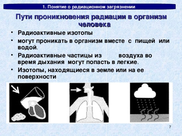 Как попасть в радиоактивные развалины в will to live