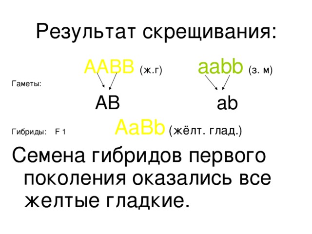 Дигибридное скрещивание третий закон менделя 10 класс презентация