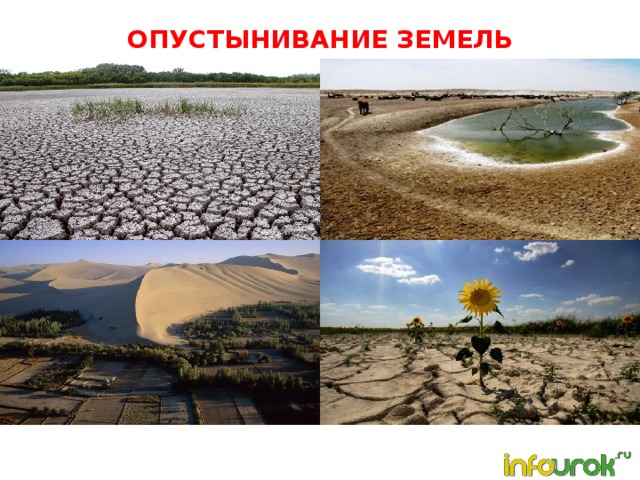 ОПУСТЫНИВАНИЕ ЗЕМЕЛЬ 