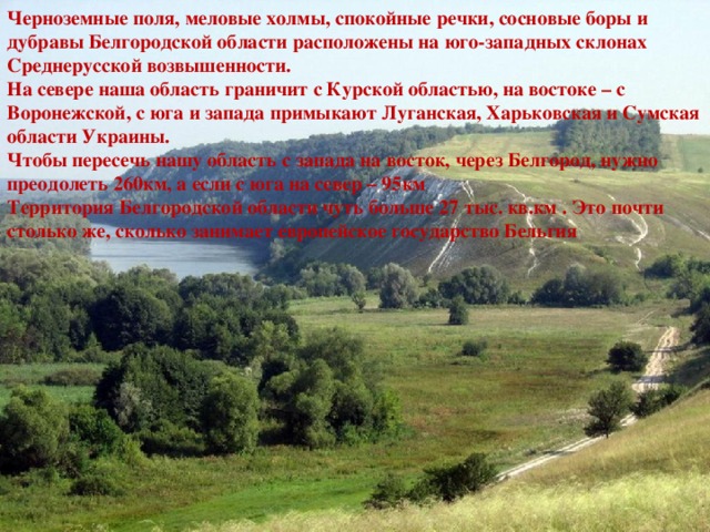 Черноземы на территории белгородской области занимают территории