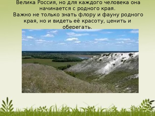 Книга природы родного края. Флора родного края. Презентация на тему родная природа Флора и фауна родного края. Флора моего родного края. Презентация Флора и фауна родного края Калининград.