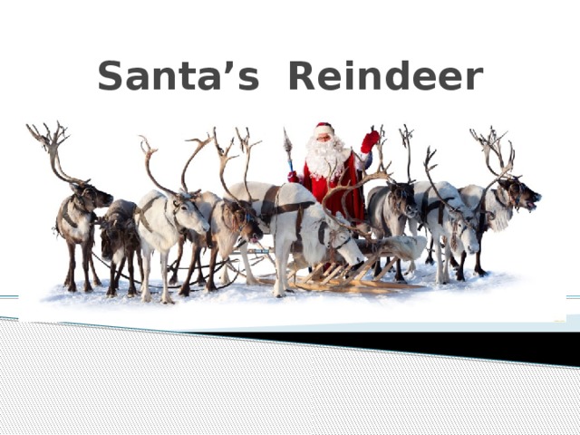 Santa’s Reindeer 