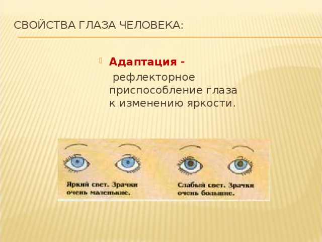 Свойства глаза человека:   Адаптация -  рефлекторное приспособление глаза к изменению яркости. 