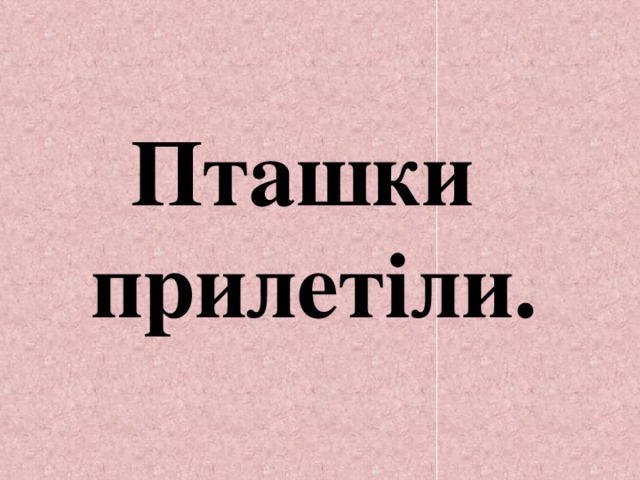 Пташки прилетіли. 