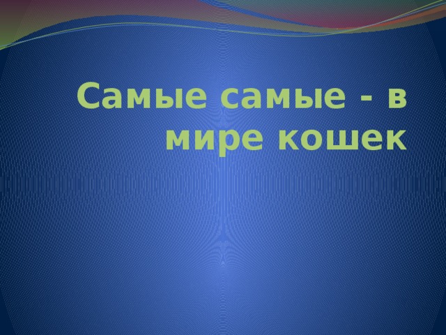 Самые самые - в мире кошек 