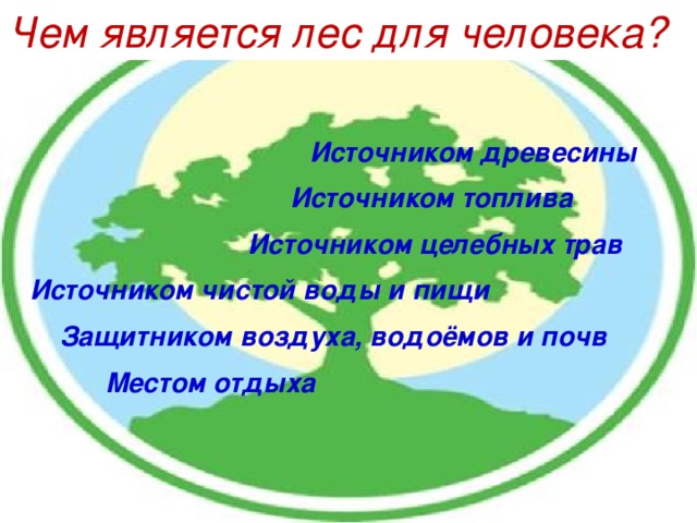 Лес защитник воздуха водоемов и почв рисунок