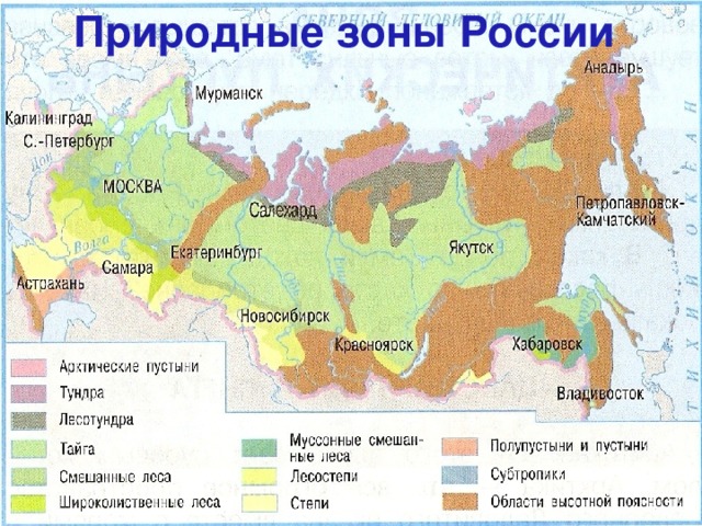 Проект по биологии природные зоны россии