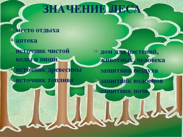 Лес защитник воздуха водоемов и почв рисунок