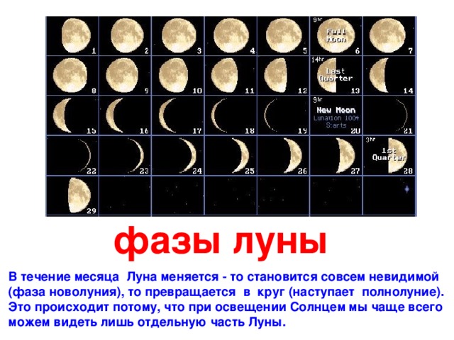 фазы луны  В течение месяца Луна меняется - то становится совсем невидимой (фаза новолуния), то превращается в круг (наступает полнолуние). Это происходит потому, что при освещении Солнцем мы чаще всего можем видеть лишь отдельную часть Луны. 