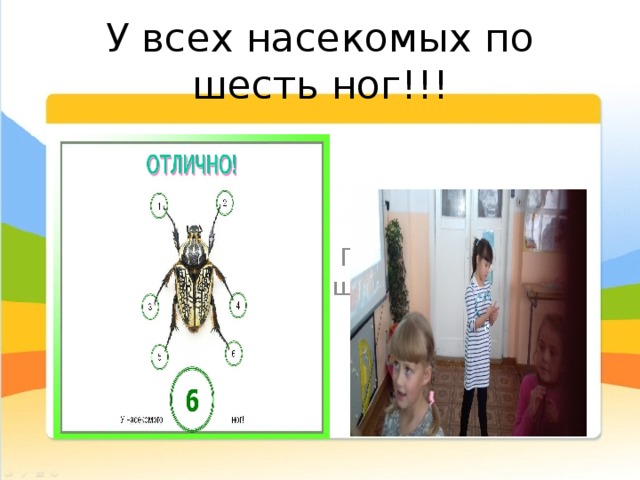 У всех насекомых по шесть ног!!!  Посчитаю….Да, шесть! 