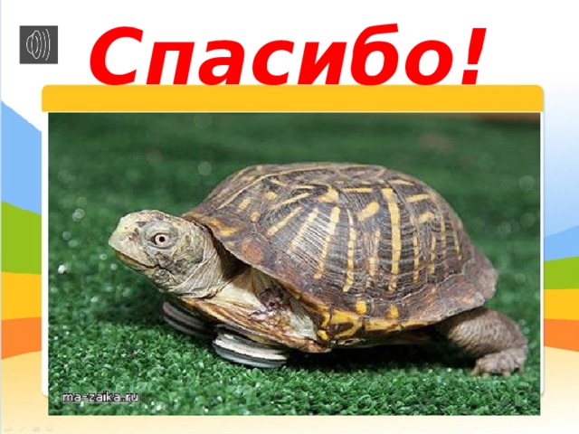 Спасибо! 