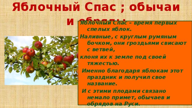 Яблочный спас краткий пересказ. Яблочный спас традиции. Яблочный спас рассказ о празднике. Обряды народных праздников яблочный спас. Яблочный спас традиции обряды приметы.