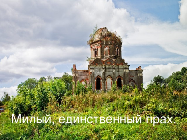               Милый, единственный прах. 