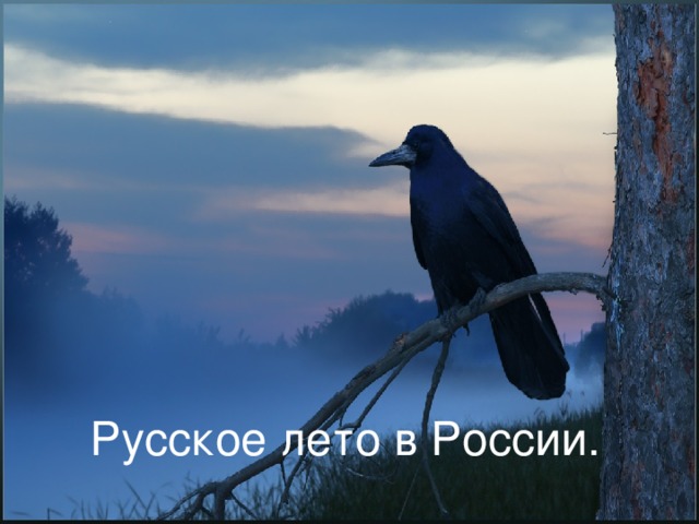      Русское лето в России.   