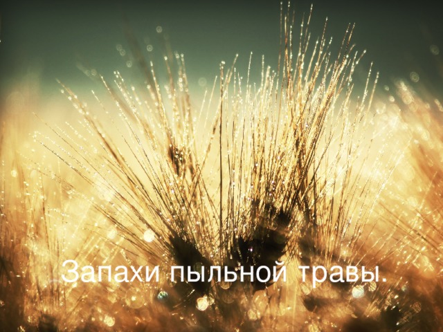      Запахи пыльной травы.   