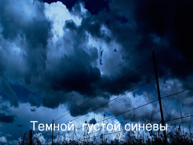 Темной, густой синевы 