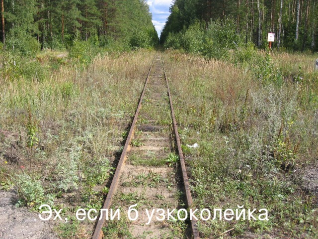 Эх, если б узкоколейка 