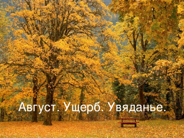     Август. Ущерб. Увяданье. 