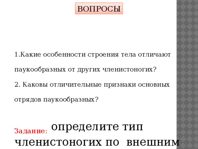 ВОПРОСЫ 1.Какие особенности строения тела отличают паукообразных от других членистоногих? 2 . Каковы отличительные признаки основных отрядов паукообразных? Задание:  определите тип членистоногих по внешним признакам? 