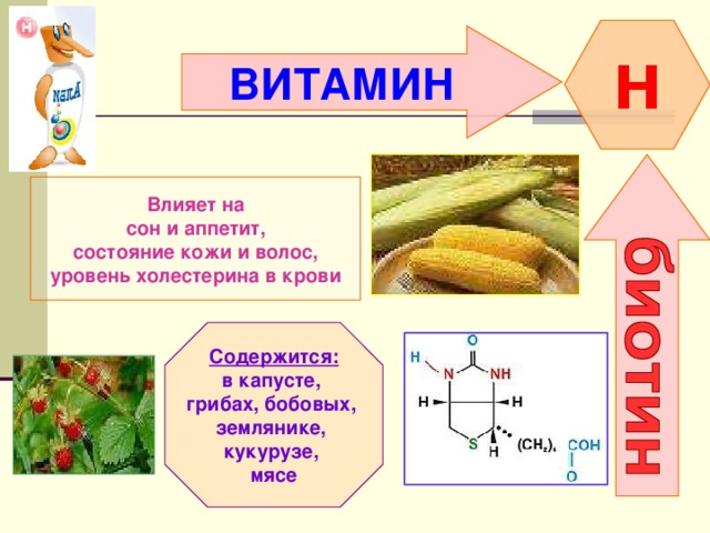 Витамины проект 11 класс